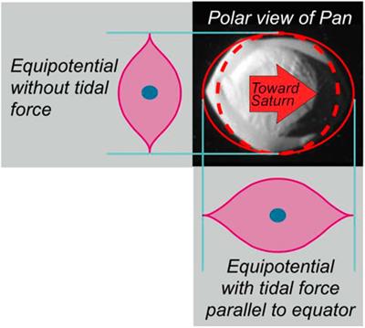 Gravitational influence of Saturn’s rings on its moons: a case for free granular flow